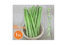 アスパラガス　A品　3Lサイズ　1kg(約25本)＜野菜＞【1291663】