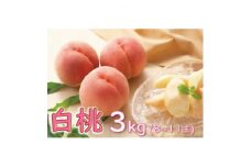 桃　3kg(8玉～11玉)　品種おまかせ　化粧箱 ＜果物/白桃＞【1291670】