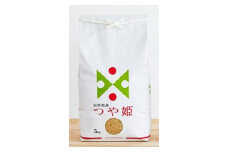 2023年5月発送開始『定期便』川西町産特別栽培米「つや姫」玄米5kg(5kg×1袋)全6回【5134884】