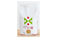 2023年8月発送開始『定期便』川西町産特別栽培米「つや姫」玄米5kg(5kg×1袋)全6回【5134887】