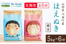 ＜毎月定期便＞山形県産米「はえぬき」5kg(5kg×1袋)全6回【4003476】