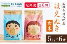 ＜毎月定期便＞山形県産米「はえぬき」玄米 5kg(5kg×1袋)全6回【4003477】
