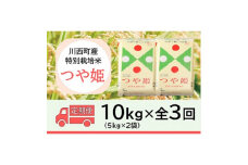 2024年2月発送開始『定期便』川西町産　特別栽培米「つや姫」精米10kg(5kg×2袋)全3回【5169256】