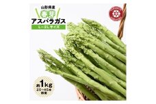 ＜令和8年産＞先行受付!春芽アスパラガス約1kg(L～2Lサイズ 25～45本前後)【1470202】