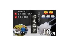 令和6年産 コンクール受賞農家直送 山形県産はえぬき10kg＜浦田農園 むすび米＞【1522439】