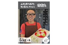 令和6年産 山形県産＜雪若丸＞精米 30kg(5kg×6袋)【1553743】