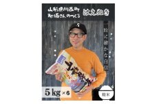 令和6年産 山形県産＜はえぬき＞精米 30kg(5kg×6袋)【1553712】