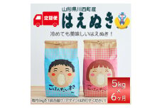 ＜毎月定期便＞山形県産　はえぬき　精米　5kg全6回【4059367】