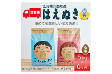 ＜毎月定期便＞山形県産　はえぬき　玄米　5kg全6回【4059372】