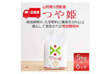 ＜毎月定期便＞山形県産　つや姫　精米　5kg全6回【4059359】