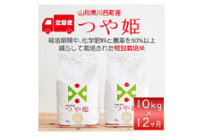 ＜毎月定期便＞山形県産　つや姫　精米　10kg全12回【4059361】