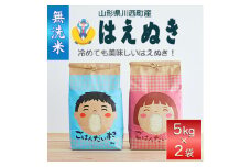 令和6年産　はえぬき10kg(5kg×2袋)＜無洗米＞【1567622】