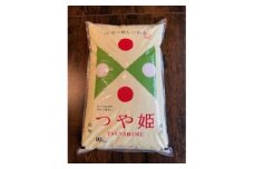 令和6年産 山形県産＜つや姫＞精米 10kg(10kg×1袋)【1564101】