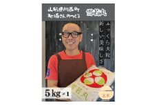 令和6年産 山形県産＜雪若丸＞玄米 5kg(5kg×1袋)【1564154】