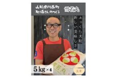 令和6年産 山形県産＜雪若丸＞玄米 20kg(5kg×4袋)【1564168】