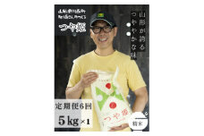 ＜毎月定期便＞山形県産＜つや姫＞精米 5kg(5kg×1袋)全6回【4060361】