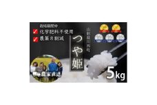 令和6年産 コンクール受賞農家直送 山形県産つや姫5kg＜浦田農園 むすび米＞【1580594】