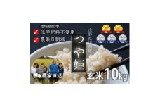 令和6年産 コンクール受賞農家直送 山形県産つや姫10kg 玄米＜浦田農園 むすび米＞【1580610】