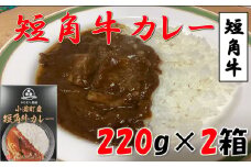 小国短角牛カレー（1人前×2箱）