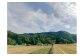 いよい収穫作業。天候を見ながら晴れた日にみんな刈っていきます。収穫まで毎日見回った田んぼ。感慨深い想いです。