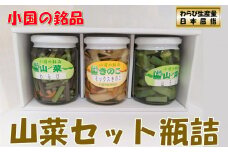 山形県小国町産山菜セット（わらび・山うど・ミックスきのこ瓶詰）