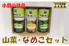 山形県小国町産山菜セット（なめこ缶つぼみ3缶・わらび・山うど・ミックスきのこ瓶）