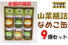 山形県小国町産山菜セット（なめこ缶つぼみ3缶・わらび2瓶・なめこ2瓶・山うど・ミックスきのこ瓶）