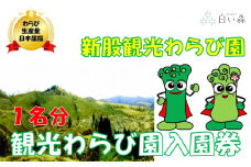 新股観光わらび園入園券（1名様分）