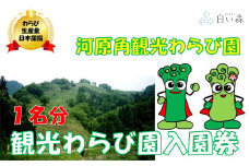 河原角観光わらび園入園券（1名様分）