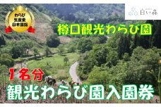 樽口観光わらび園入園券（1名様分）