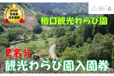 樽口観光わらび園入園券（２名様分）