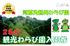 河原角観光わらび園入園券（２名様分）