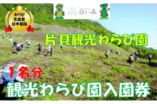 片貝観光わらび園入園券（1名様分）