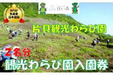 片貝観光わらび園入園券（２名様分）