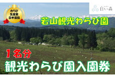 若山観光わらび園入園券（１名様分）