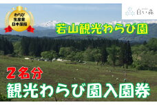 若山観光わらび園入園券（２名様分）