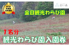 金目観光わらび園入園券（１名様分）