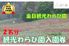 金目観光わらび園入園券（２名様分）