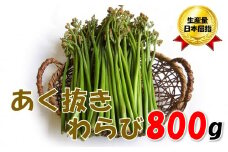 【通常配送】採れたて山菜　あく抜きわらび　200ｇ×4束
