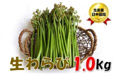 【通常配送】採れたて山菜　生わらび　1kg×1束
