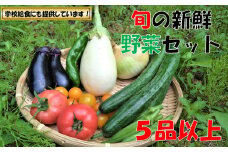 【数量限定】小国の旬の新鮮野菜セット　5品以上　