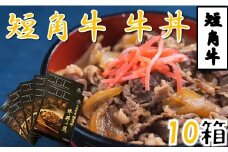 短角牛牛丼の具（1人前×10箱）