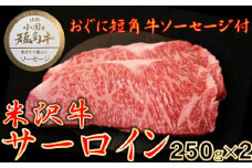 【数量限定】【期間限定】【小国肉祭】米沢牛　サーロインステーキ(500ｇ　250g×2枚)＋米沢牛牛脂入りおぐに短角牛赤身ソーセージ