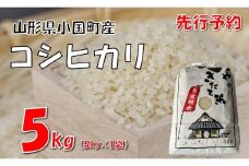 【令和７年新米  先行予約】コシヒカリ5kg　