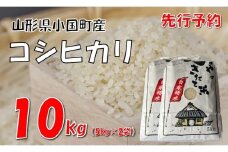 【令和７年新米  先行予約】コシヒカリ10kg（5kg×2袋）　