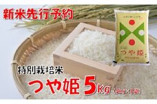 【令和7年新米  先行予約】山形県小国町産 つや姫5kg　　小国米穀商業協同組合