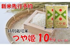 【令和7年新米  先行予約】山形県小国町産 つや姫10kg（5kg×2袋）　　小国米穀商業協同組合