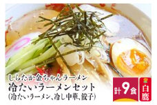 しらたか金ちゃんラーメン 冷たいラーメンセット (冷ラーメン、冷し中華、餃子) 計9食