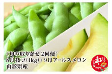 《旬の取り寄せ 2回便》【8月下旬 枝豆 1kg分（ゆかた娘）】【9月上旬 アールスメロン 1玉】セット 山形県産 果物 フルーツ 【2025年8月下旬～9月上旬に順次発送予定】