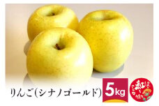 りんご (シナノゴールド) 5kg 山形県産 フルーツ 果物 リンゴ 林檎 【2024年10月上旬～10月下旬に順次発送予定】